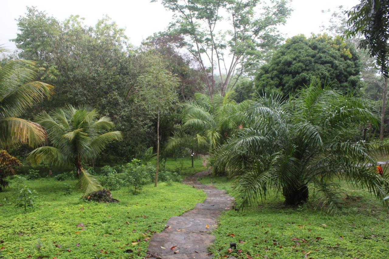 Cordillera Escalera Lodge Tarapoto Zewnętrze zdjęcie